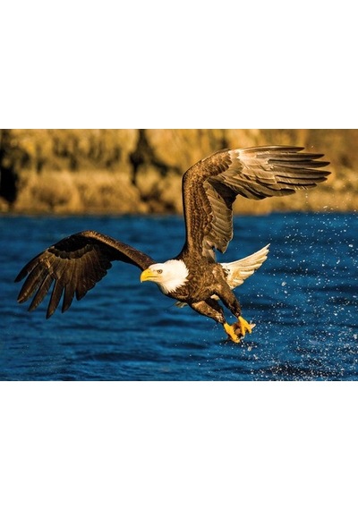 Ks Games 100 Parça Puzzle Animal Planet Kartal