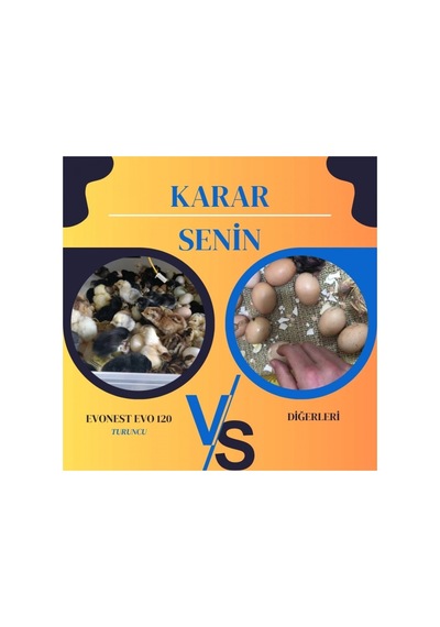 Evonest Kuluçka Makinesi Gfallx Dönüşüm-ek Performans-120 Yumurtalık Turuncu Renk