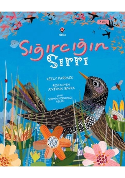Sığırcığın Sırrı