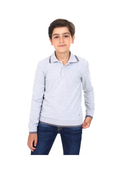 Toontoy Kids Toontoy Erkek Çocuk Regular Fit Polo Yaka Baskılı Sweatshirt - 2 İplik Gri