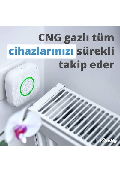 Shelly Gas Akıllı Cng Gaz Dedektörü