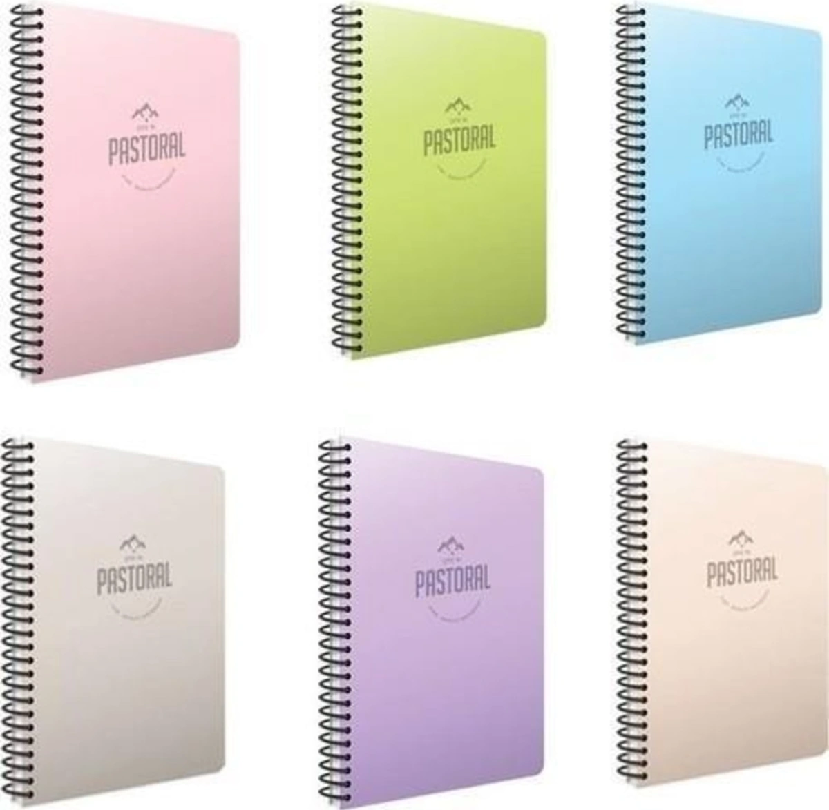 Pastoral A4 Plastik Kapak Spiralli 96 Yaprak 3 Kareli + 72 Yaprak 2 Çizgili Defter