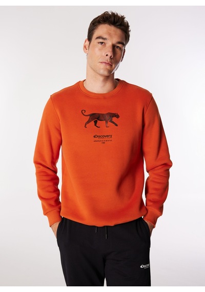 Discovery Expedition Koyu Turuncu Erkek Bisiklet Relaxed Baskılı Sweatshirt D4wm-swt3247 Discovery Expedition Koyu Turuncu Erkek Bisiklet Relaxed Baskılı Sweatshirt D4wm-swt3247