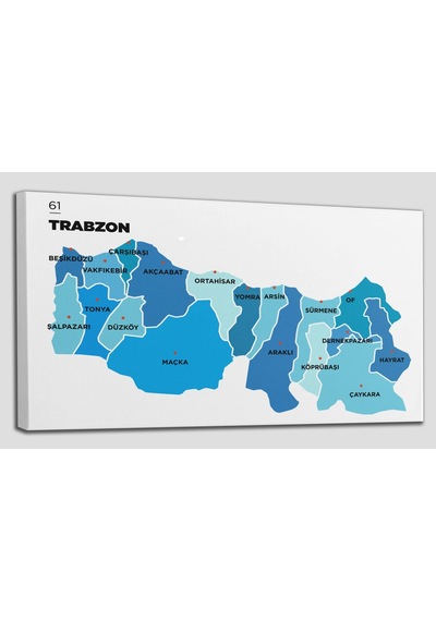 Doğaltercih Trabzon İli ve İlçeler Haritası  Dekoratif Kanvas Tablo 1471