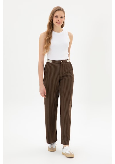 U.S. Polo Assn. Kadın Kahverengi Çizgili Loose Fit Kanvas Pantolon 50317169-VR029