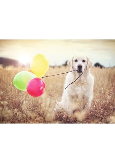 500pc Puzzle Balon Partisi
