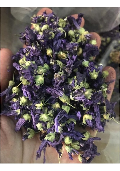 Evçay Ebegümeci Çiçeği 80 G