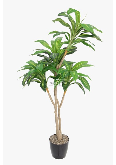 Yapay Ağaç Lüx 4 Gövdeli Cordyline 180 Cm Yeşil-sarı