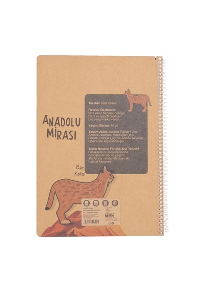 Ayrex Anadolu Mirası Spiralli Defter, A4, 100 Yaprak, 70g Kağıt, Çizgili, 500 Mikron Pp Kapak, Pet Spiralli, Asorti Çok Renkli