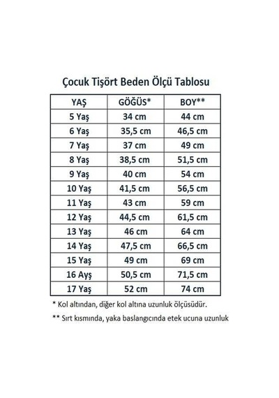 Angelos Girls Kız Çocuk Okul Tarz %100 Pamuk T-shirt -5-17 Yaş Ag006 Gri