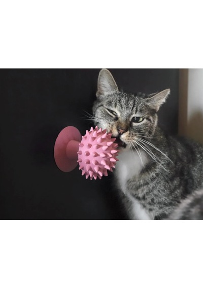 Pureysma  Kedi Kaşıma Oyuncağı Pembe Renk Tımar Catn Pembe