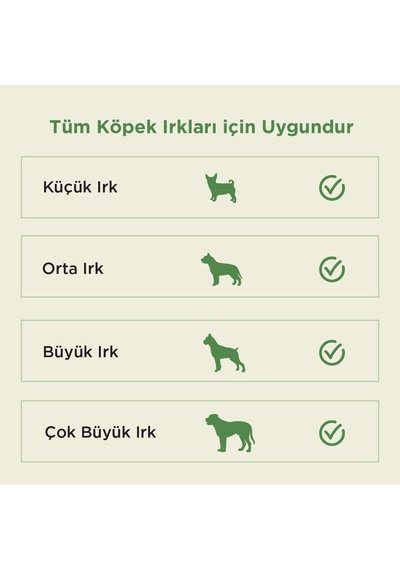 Kito Dana Gırtlak Çiğnemelik Köpek Ödül Maması%100 Doğal, Glutensiz, Organik 100 Gr Dog Treat