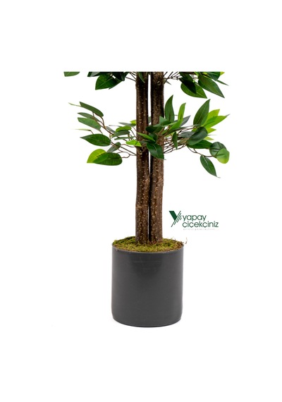 2 Li Yapay Benjamin Ağacı Seti 100 Cm Gri Saksılı Dekoratif Salon & Ofis Bitkisi