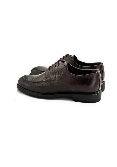 Brown Morus