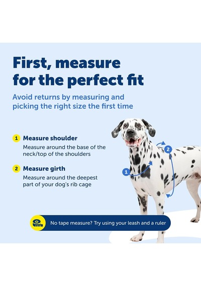 Petsafe The Makers Of The Easy Walk Harness, 3'ü 1 Arada Koşum Kayışı, Tamamen Ayarlanabilir, Çekmez Köpek Koşumu, Orta Boy Siyah Petsafe The Makers Of The Easy Walk Harness, 3'ü 1 Arada Koşum Kayışı, Tamamen Ayarlanabilir, Çekmez Köpek Koşumu, Orta Boy Siyah