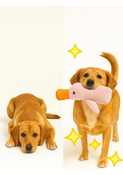 Busstier Köpek Oyuncağı Ördek Şekilli Peluş Sesli Ve Hışırtılı Dayanıklı Çiğneme Ve Isırma Oyuncağı An
