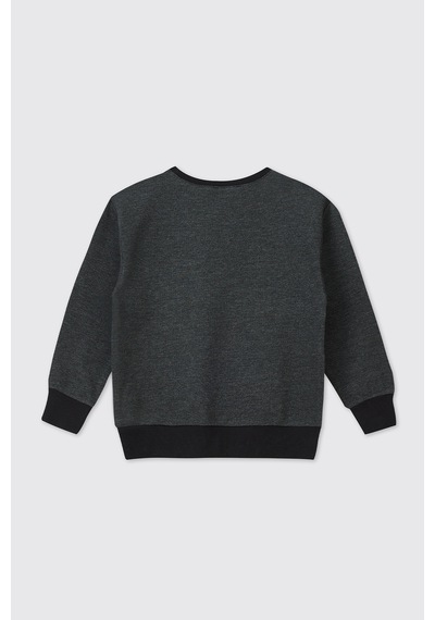 Panço Erkek Çocuk Antrasit Sweatshirt 2521bk08049 Gri