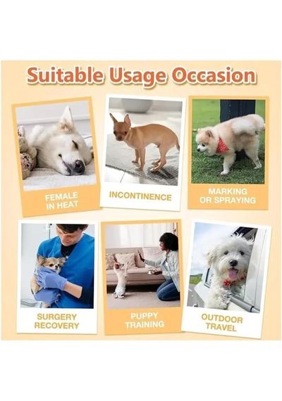 Tineke Petsoft Köpek Tuvalet Bez Kedi Tuvalet Bez Çiş Bezi X-large 12 Adet