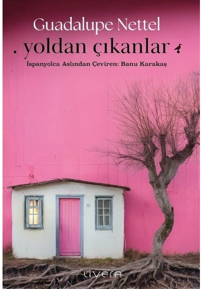 Yoldan Çıkanlar / Guadalupe Nettel