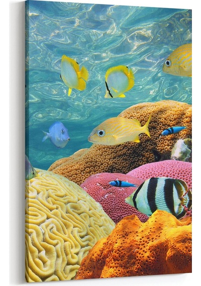 Olla 60x90 Cm 12208d Akvaryum / Balık Görseli Dikey Kanvas Tablo