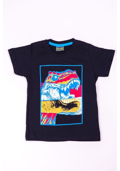 Hçm Erkek Çocuk Tshirt Dinozor Baskılı A28 Mavi