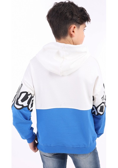 Toontoy Kids Toontoy Erkek Çocuk Baskılı Sweatshirt Saks