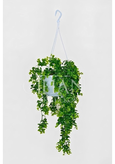 Askılı Saksıda Yapay Sarkan Okaliptus - 90 Cm Balkon Ve Teras Çiçeği Diğer