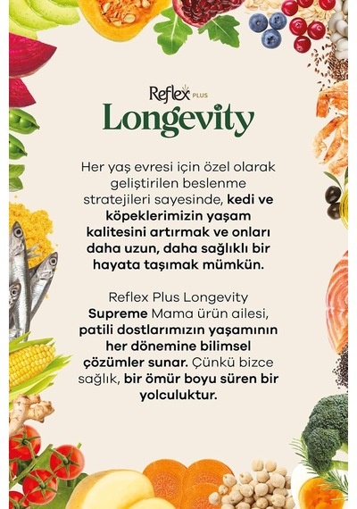 Plus Longevity Orta Ve Büyük Irk Yetişkin Köpek Maması 2700g