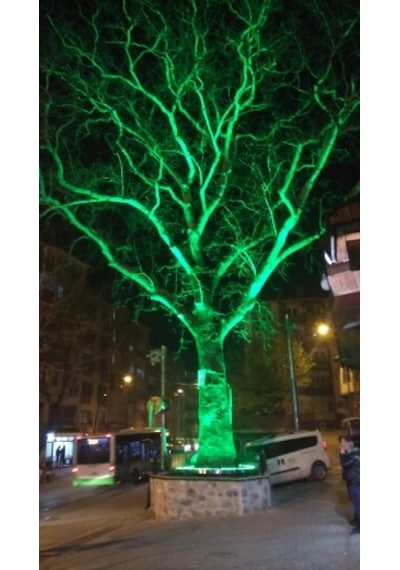 Palmiye Çember Aydınlatma Ip67 35cm