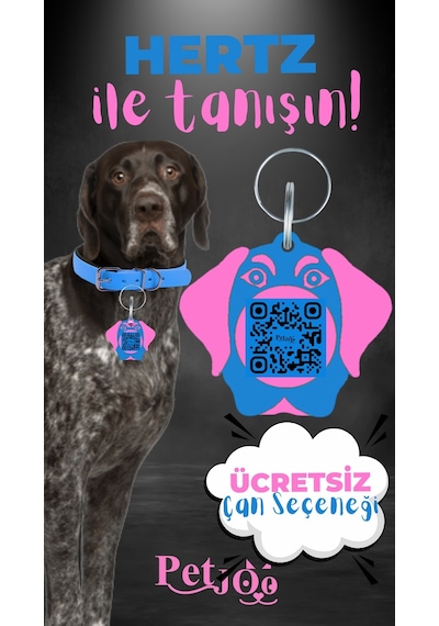 Petjoo 26.Hertz Pembe-Mavi Qr'lı Köpek Künyesi