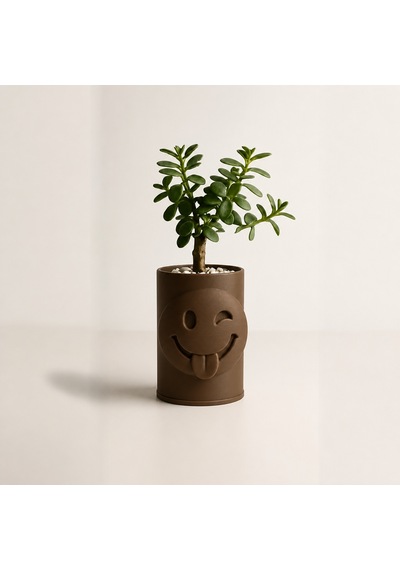 3d Baskı Emoji Planter - Göz Kırpan Yüzlü Sukulent Saksısı-kahverengi Çok Renkli