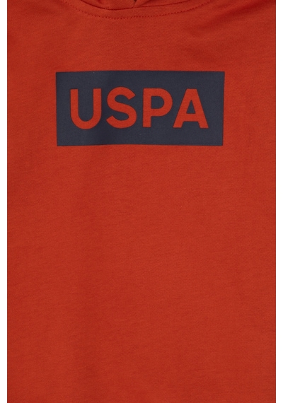 U.S. Polo Assn. Erkek Çocuk Kiremit Basic Kapüşonlu Sweatshirt 50307748-VR031
