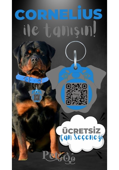 Petjoo 20.Cornelius Gri-Mavi Qr'lı Köpek Künyesi