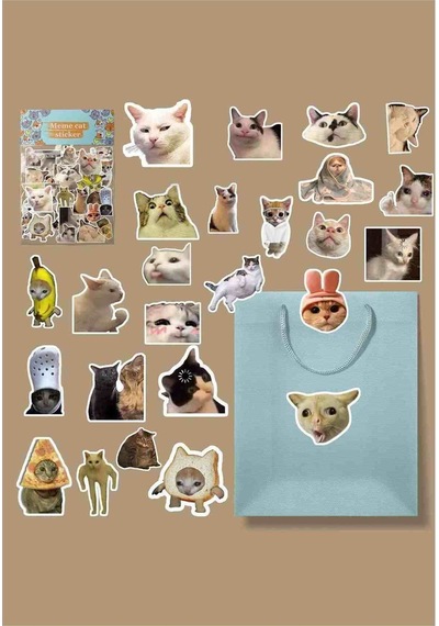 Komik Kedi Diğer