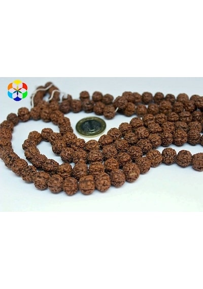 Rudrashka Tohum Dizi 8Mm (Mala Yapımı Için) 108 Lik