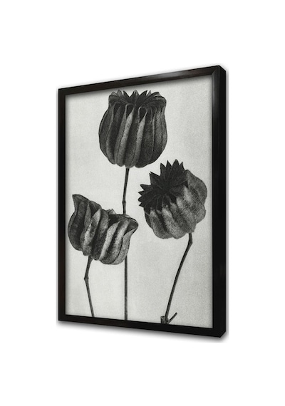 Siyah Beyaz Üçlü Çiçekler Çerçeveli Mdf Tablo-172211