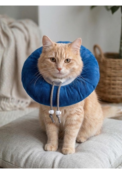Elizabeth Yakalık Yumuşak Ayarlanabilir Kedi Köpek Koruyucu Boyunluk, Mavi, M Beden