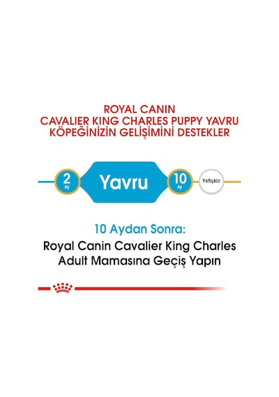 Royal Canin Junior King Charles Yavru Köpek Maması 1500 G