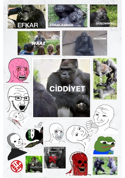 Wojak Ve Goril Memes Sticker Paketi 20 Adet Çok Renkli
