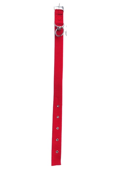 Kırmızı Dayanıklı Dokuma Köpek Tasması 30 Cm