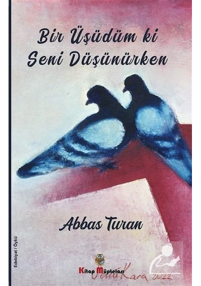 Bir Üşüdüm ki Seni Düşünürken - Abbas Turan - Kitap Müptelası Yayınları