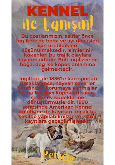 Petjoo 16.Kennel Sarı-Kırmızı Qr'lı Köpek Künyesi