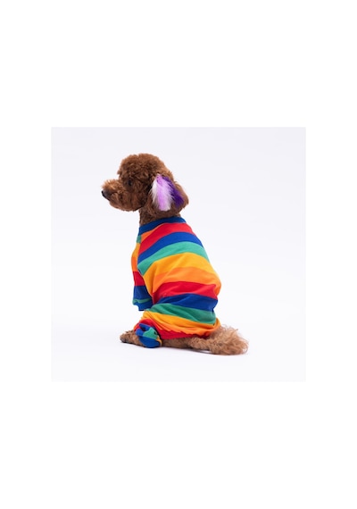 Ruby Gökkuşağı Penye Tulum Kedi Köpek Tulumu Kedi Köpek Kıyafeti Köpek Pijaması