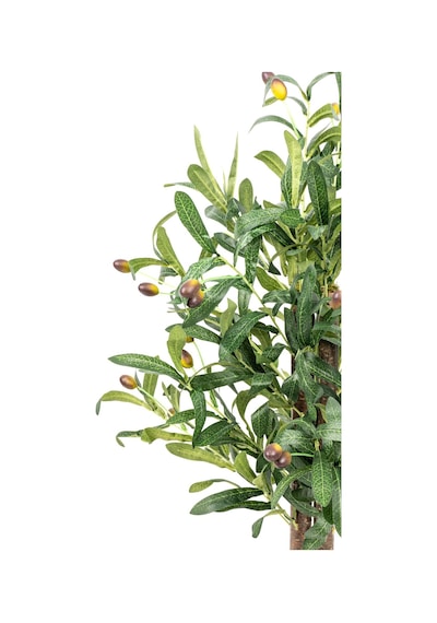 Yapay Çiçekçiniz Taş Detaylı Siyah Saksıda 60 Cm Yoğun Yapraklı Yapay Benjamin Ağacı Zeytin