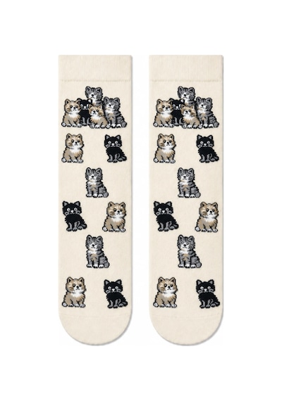 Carnaval Socks Eğlenceli Karışık Desenli 5'li Kutulu Çorap Seti 2000386
