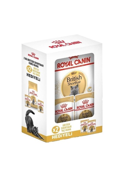 Royal Canin British Shorthair Hediye Kutulu Yetişkin Kedi Maması 2 KG