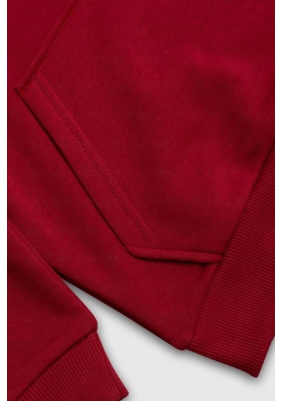 United Colors Of Benetton Erkek Çocuk Bnt-b23341 Sweatshirt Bordo-2127 Bordo