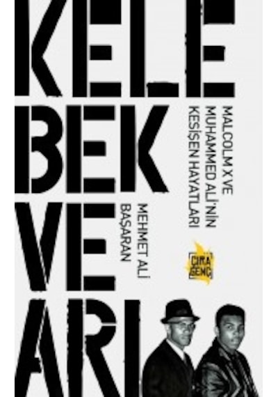 Kelebek ve Arı - Mehmet Ali Başaran - Çıra Genç