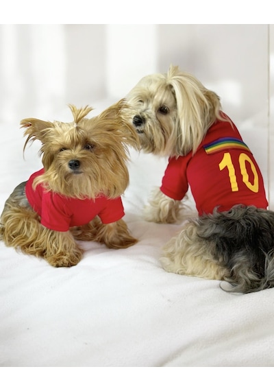 Kemique Uno Red Köpek Tişörtü