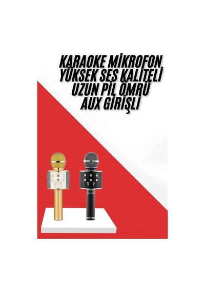 Hubrendy Tekno Karaoke Mikrofon Dahili Hoparlörlü Sd-usb-aux Girişli Bluetooth Hoparlör